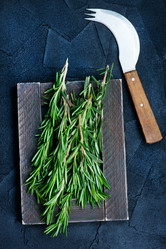 Similar image 12991405