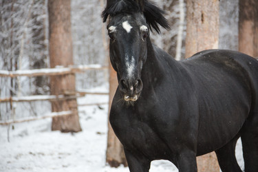 Similar image 12690807