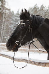 Similar image 12690809