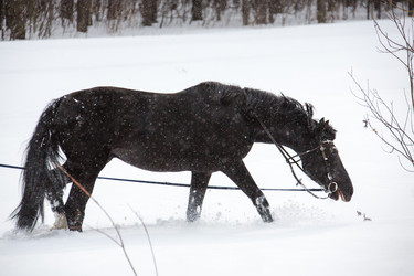 Similar image 12690519