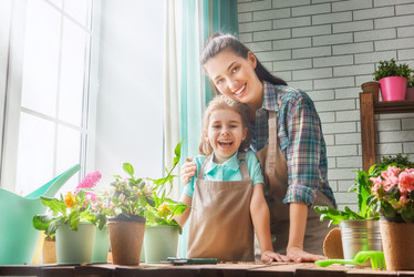 Similar image 12695902