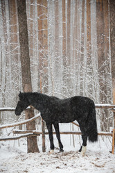 Similar image 12690522