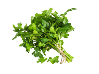 Similar image 12977990