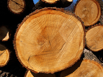 Similar image 12977914