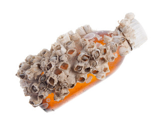 Similar image 12977916