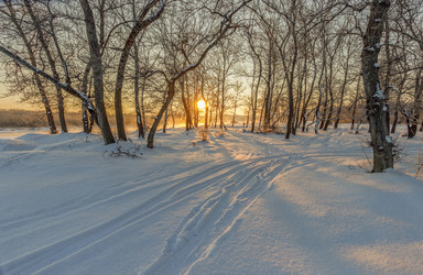 Similar image 12977451