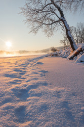 Similar image 12977452