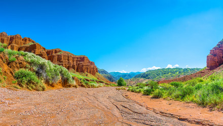 Similar image 12988873