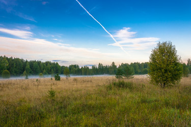 Similar image 12988936