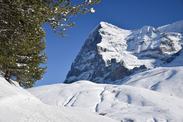 Similar image 12976513