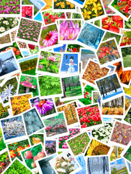 Similar image 12978538