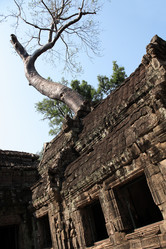 Similar image 12978396