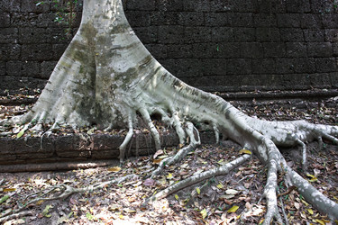 Similar image 12978408