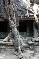 Similar image 12978409