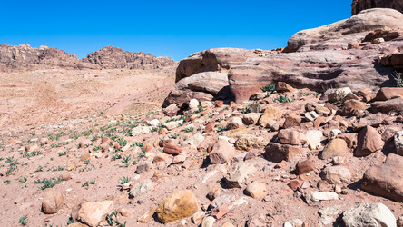 Similar image 12989329