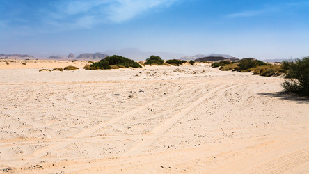 Similar image 12989441