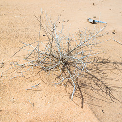 Similar image 12994961