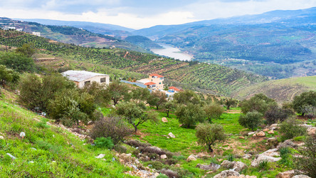 Similar image 12994962