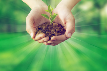 Similar image 12693715