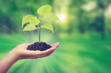 Similar image 12693716