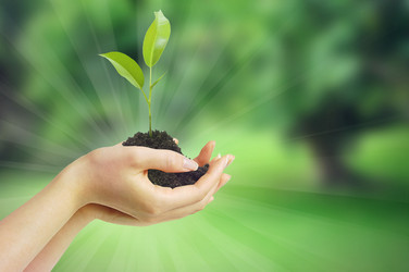 Similar image 12693717