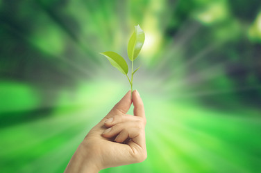 Similar image 12693718