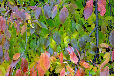 Similar image 12978546