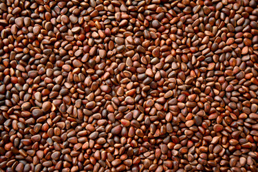 Similar image 12978547