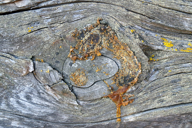 Similar image 12978548