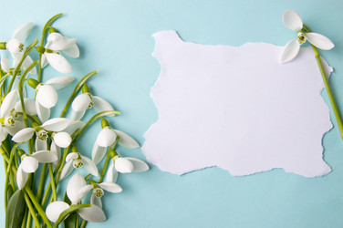 Similar image 12694877