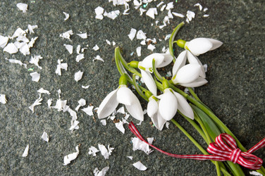 Similar image 12694880