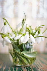 Similar image 12694806