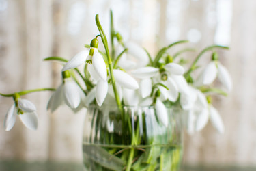 Similar image 12694808