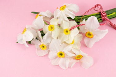 Similar image 12694822