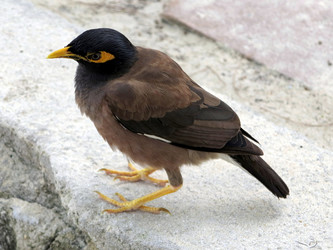 Similar image 12976515