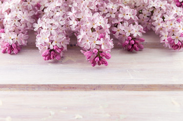 Similar image 12694857