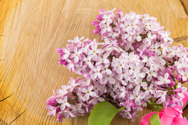 Similar image 12694858