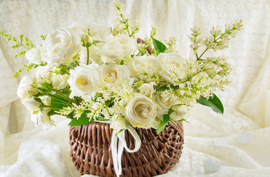 Similar image 12694939