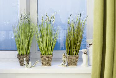 Similar image 12977884