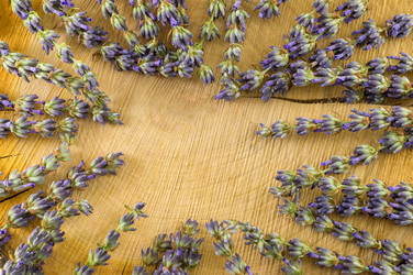 Similar image 12694962