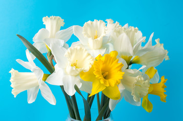 Similar image 12694988