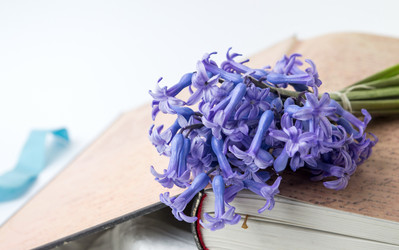 Similar image 12694989