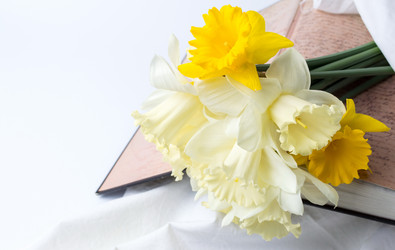 Similar image 12694885