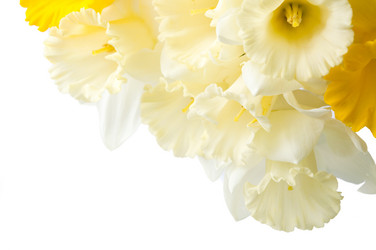 Similar image 12695034