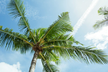 Similar image 12694833