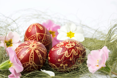 Similar image 12694934