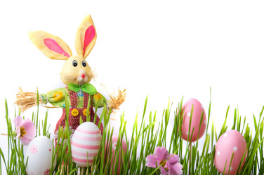 Similar image 12694936