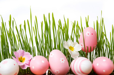 Similar image 12694944