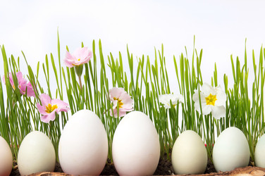 Similar image 12694947