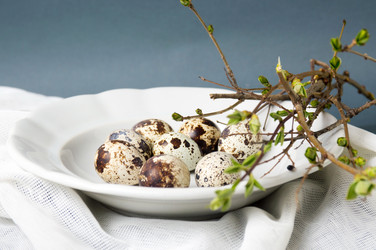 Similar image 12694950